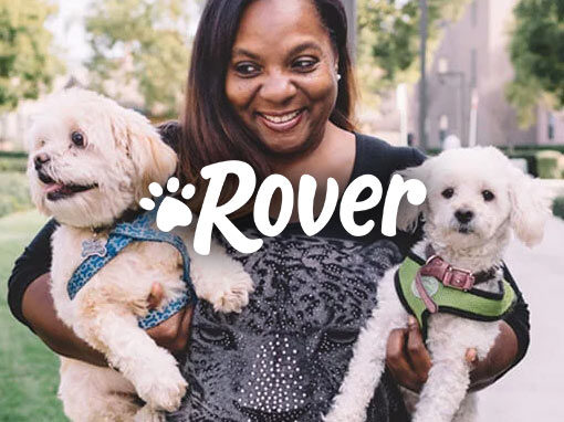 Rover